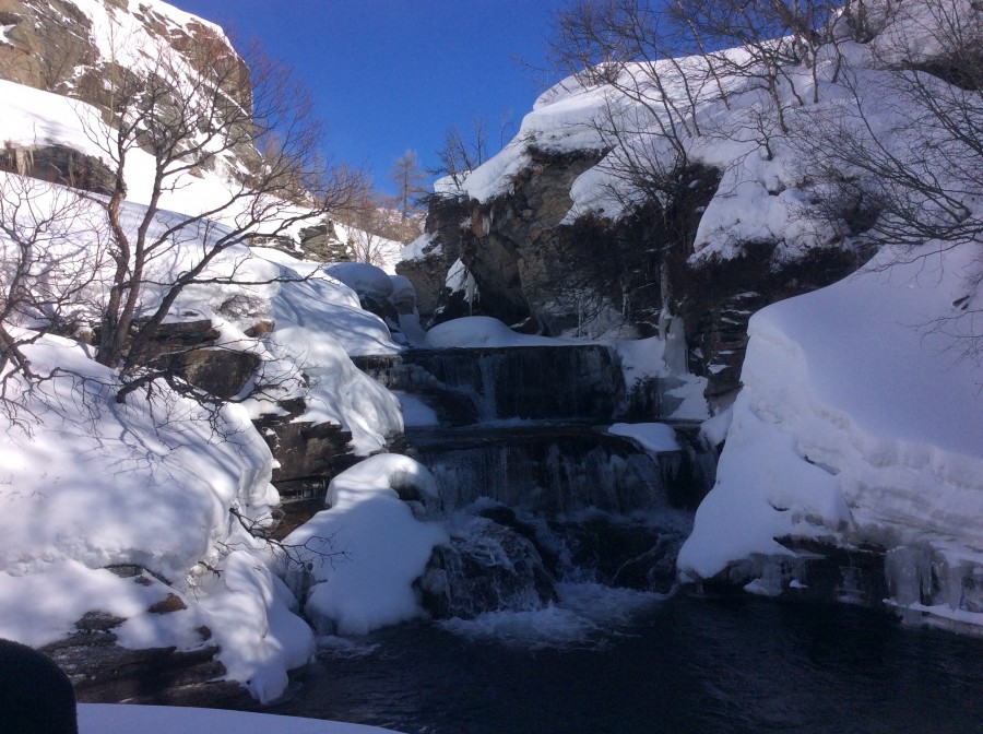 Vendredi matin "Évasion hivernale entre rivière et forêt"