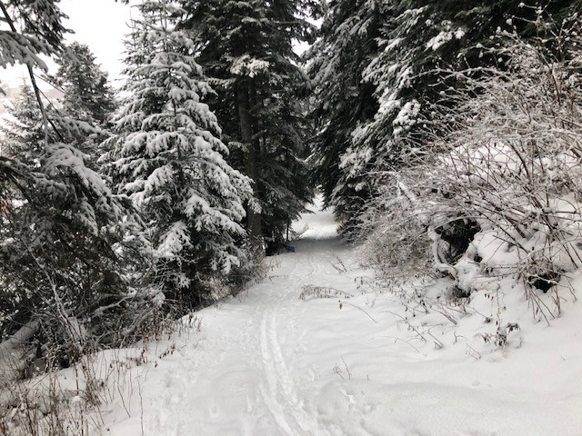 Jeudi matin Raquettes à neige "Montée au Col du Mont-Cenis"