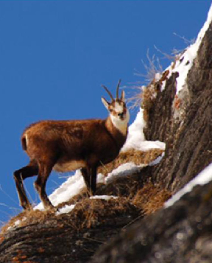 Vendredi après-midi "Échappée Belle au lac de Solliet"