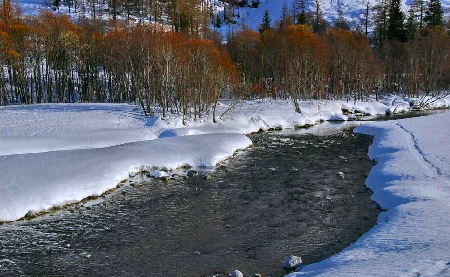 Mercredi matin Raquettes à neige "Observation animalière sur les rives de l'Arc"