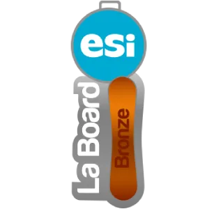 médaille Board de Bronze